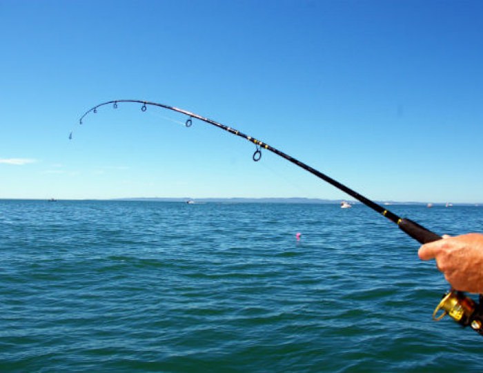 Морская рыбалка - Отель Ribera Resort & SPA / Рибера Резорт & СПА