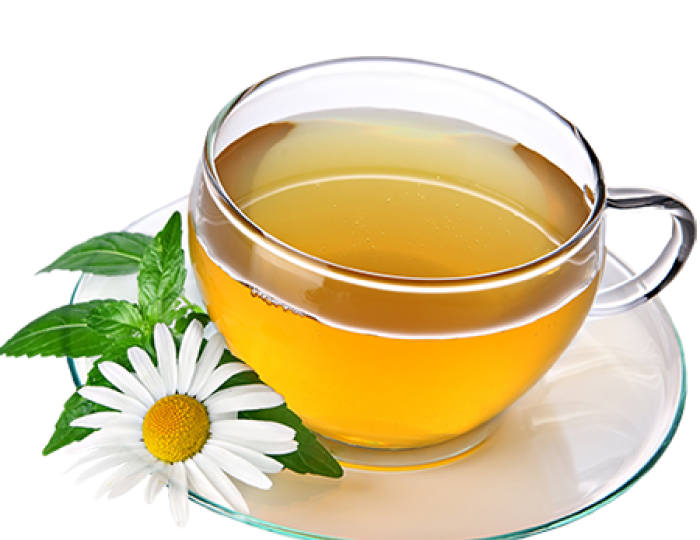 Фитотерапия - Отель Ribera Resort & SPA / Рибера Резорт & СПА